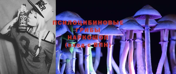 спиды Алексин