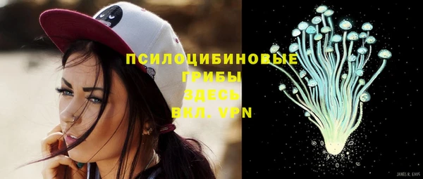 спайс Алексеевка